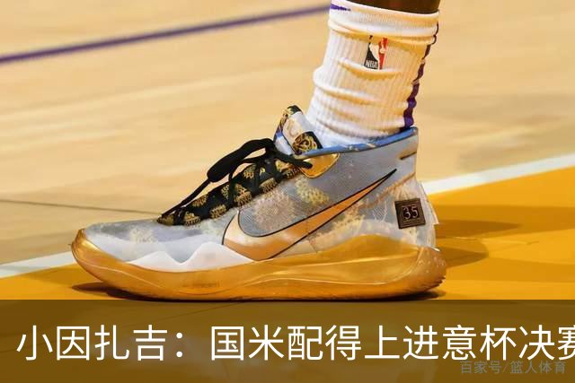 小因扎吉：国米配得上进意杯决赛 意甲也要获佳绩